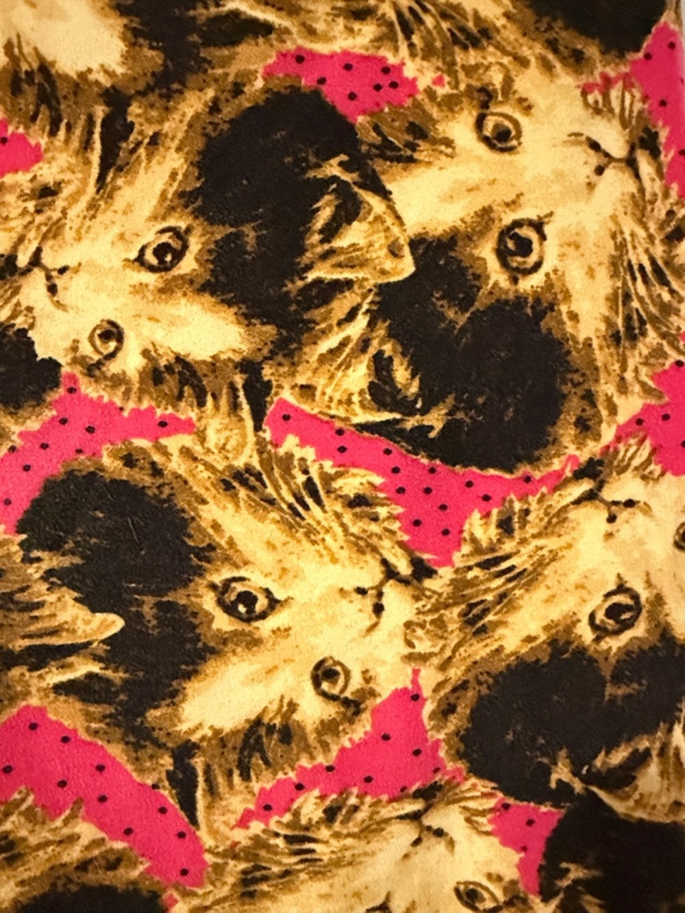 LuLaRoe Cat Print Leggings - Picture 5 of 5
